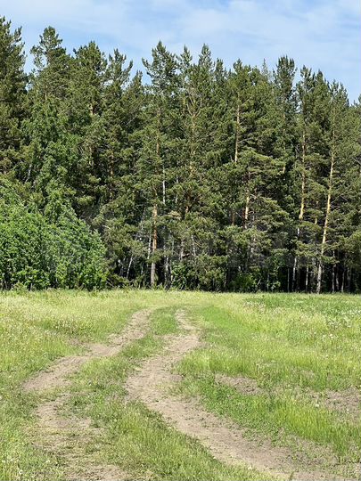 Участок 10 га (СНТ, ДНП)