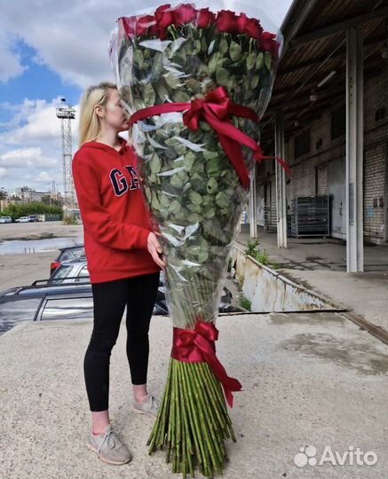 Розы гиганты