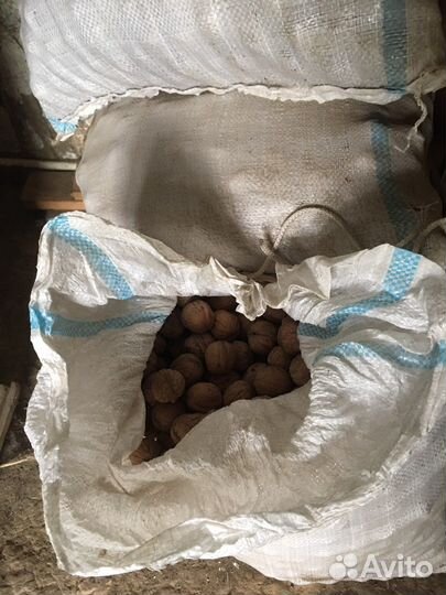 Грецкий орех