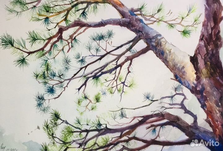 Рисование, обучение