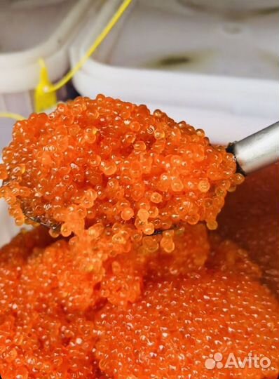 Красная икра