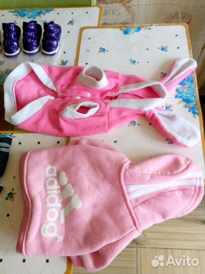 Ботинки для маленьких собак