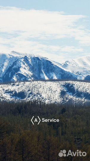 Водитель на газель
