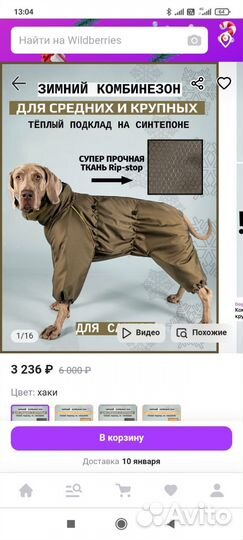 Комбинезоны для маленькой и средней собак