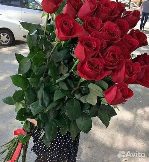 Розы гиганты 140 150 160 170 180 200