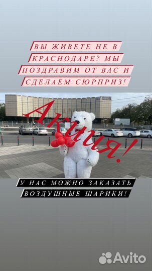 Поздравление от белого медведя 3.5 метра высотой