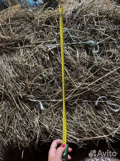 Сено в тюках