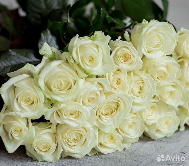 Цветы розы букеты 25 31 35 51 101 251 Доставка