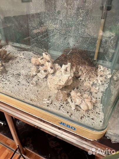 Аквариум jebo