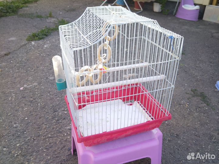 Клетка для попугая