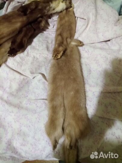 Шкурки : хорёк, ондатра, норка