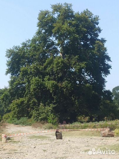 Тур по дагестану