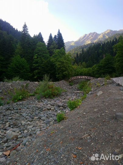 Экскурсии на Озеро Рица