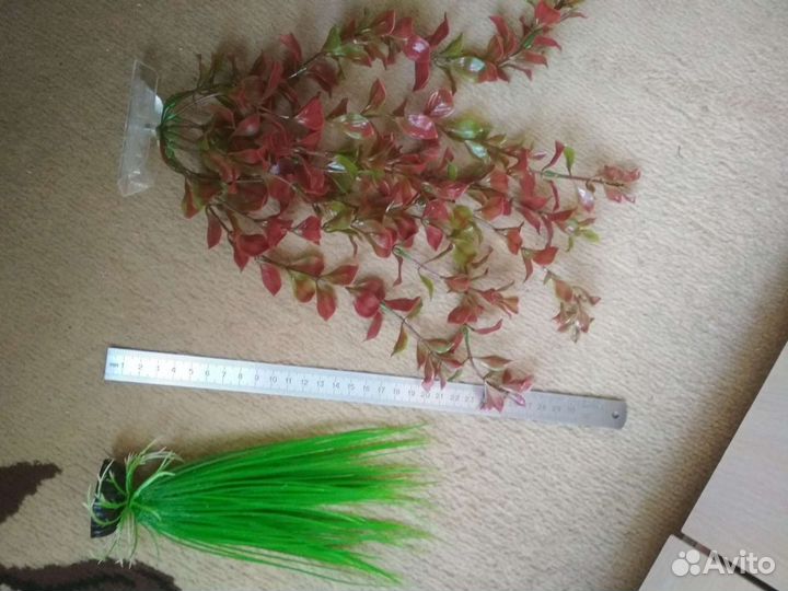 Термометр,растения,кормушка