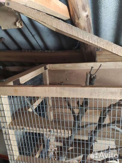 Клетка для шиншиллы
