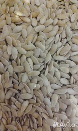 Семена Арбуза и Дыни