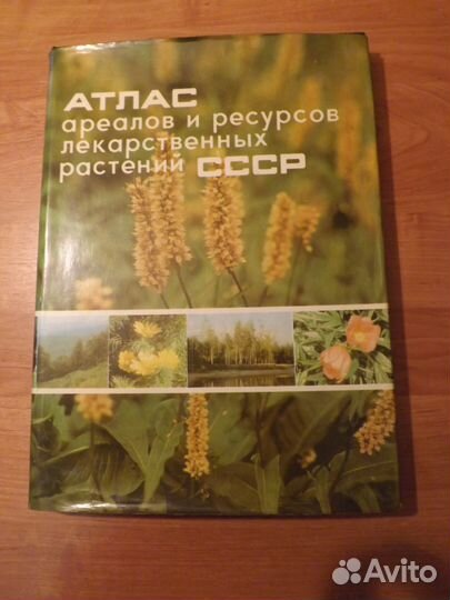 Проектирование, строительство домов и другие