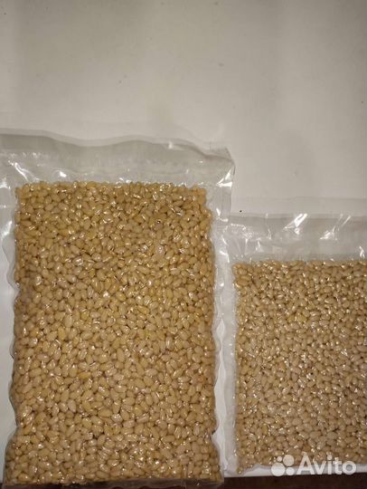 Ядро кедрового ореха