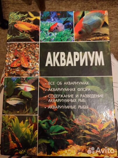 Большая энциклопедия о рыбах