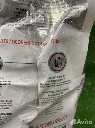 Корм для собак