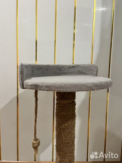 Когтеточка