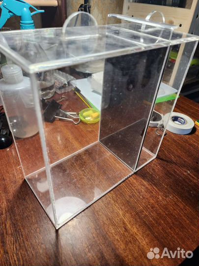 Инкубатор для артемии, тетраселмис