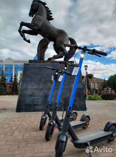 Шеринг самокатов