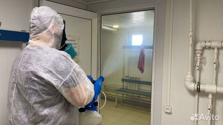 Дезинфекция