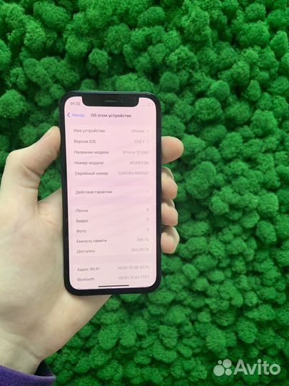 iPhone 12 mini, 256 ГБ