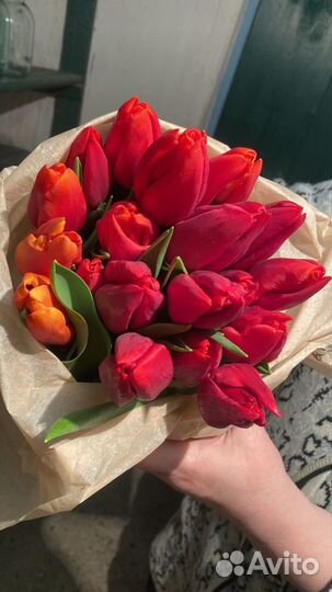 Тюльпаны к 8 марта розница