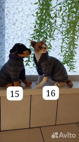 Одежда для кошек и маленьких собак