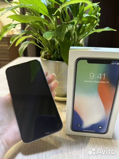 iPhone X, 256 ГБ