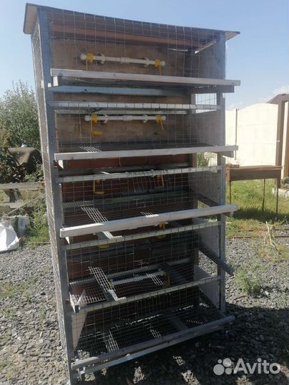 Клетка для перепелов