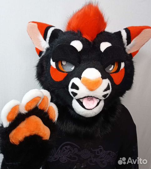 Фурсьют кот