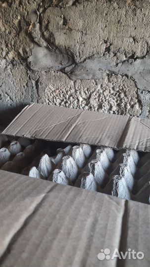 Лотки для яиц картонные