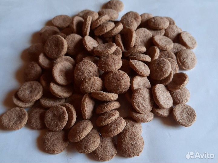 Сухие корма для собак и кошек 