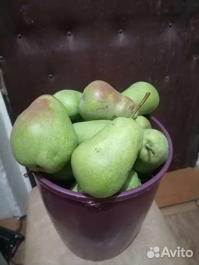 Груши