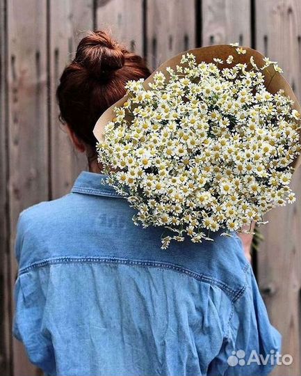 Ромашки Букет из ромашек доставка