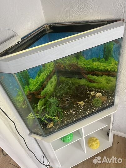Аквариум с тумбой
