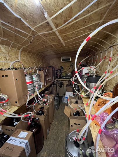 Магазин разливного пива под ключ