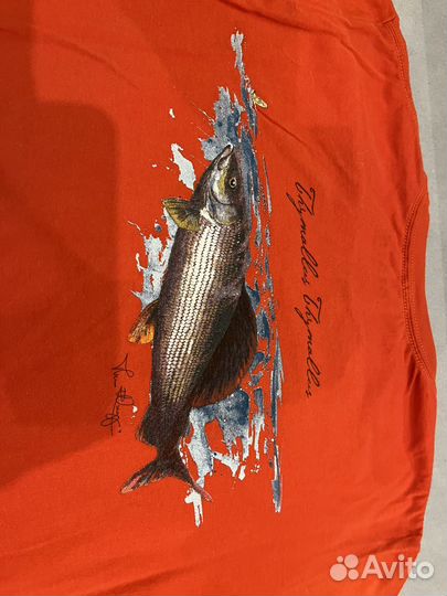 Футболка Simms