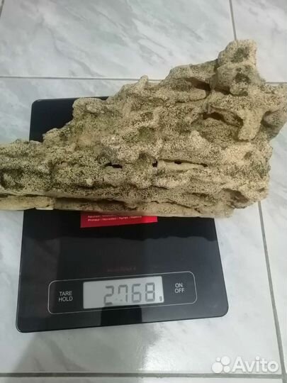 Миотис (песчаник) для аквариума