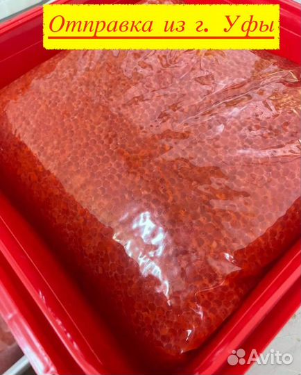 Красная икра горбуши