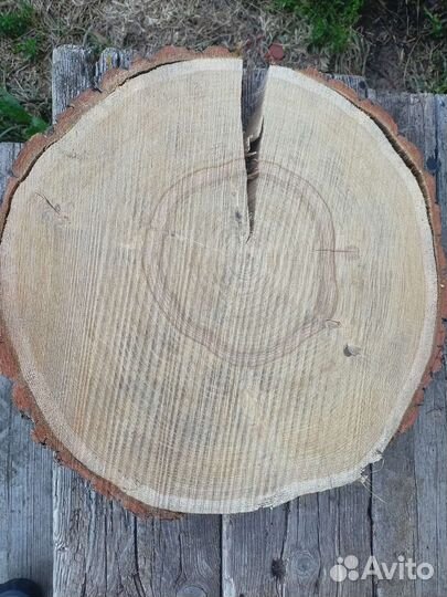 Спилы для столиков