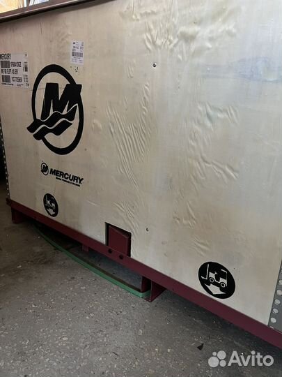 Mercury F60 EFI