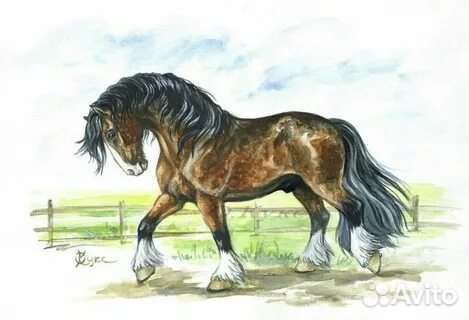 Лошадь, торг