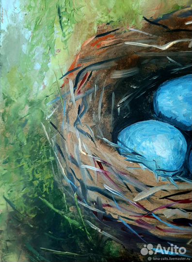 Картина маслом Яйца малиновки, Гнездо птицы