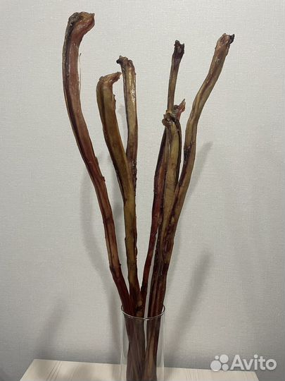 Бычий корень