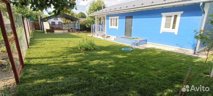 Рулонный газон для участка