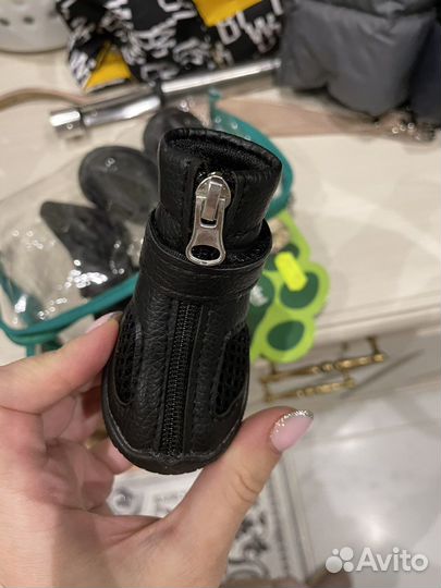 Сапоги для собак